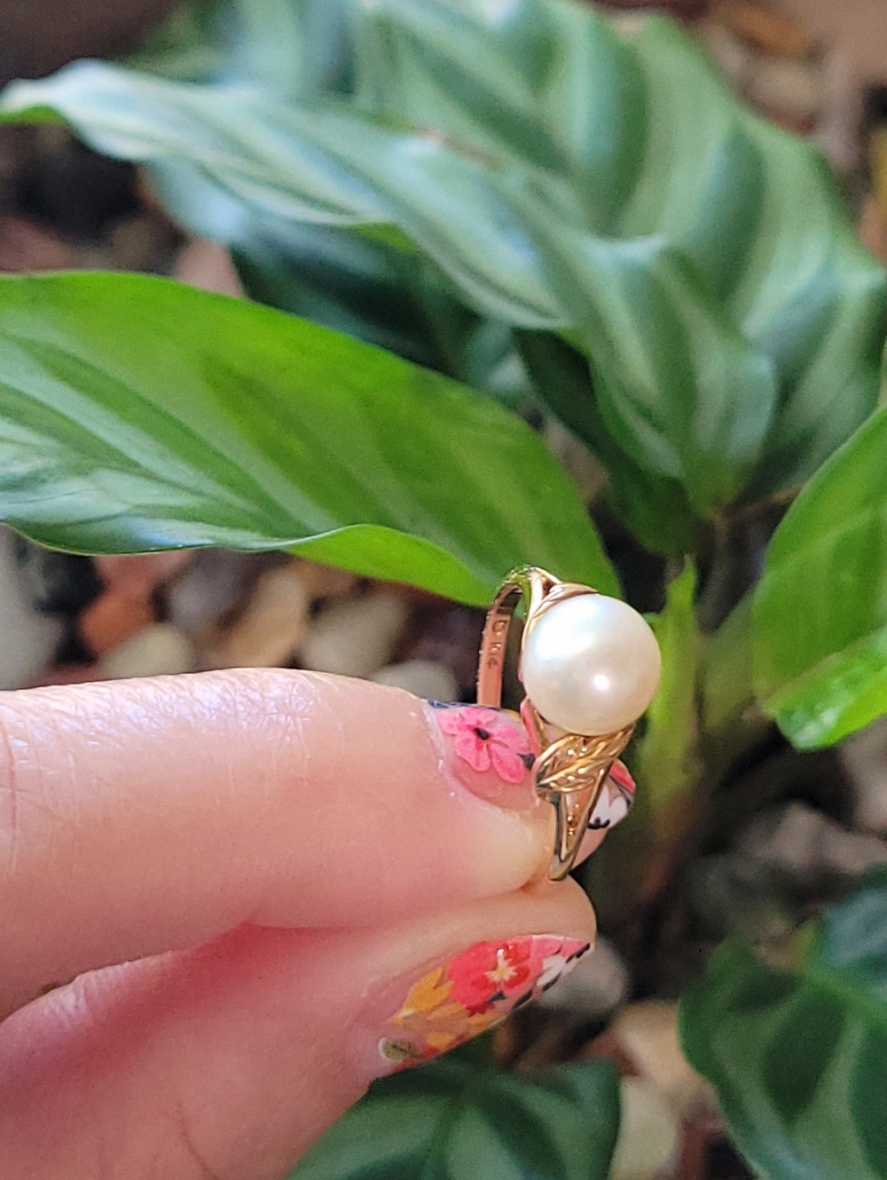 MIKIMOTO Pearl Ring in 14K Yellow Solid Gold - Picture 9 of 15